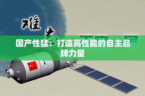 国产性猛：打造高性能的自主品牌力量