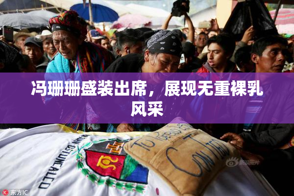 冯珊珊盛装出席，展现无重裸乳风采