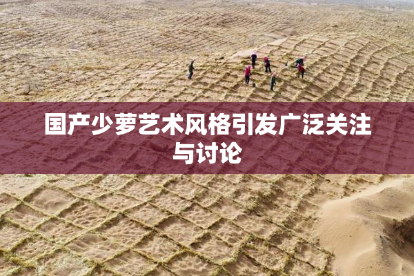 国产少萝艺术风格引发广泛关注与讨论