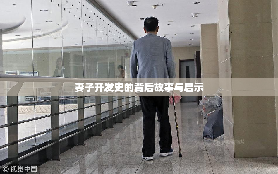妻子开发史的背后故事与启示