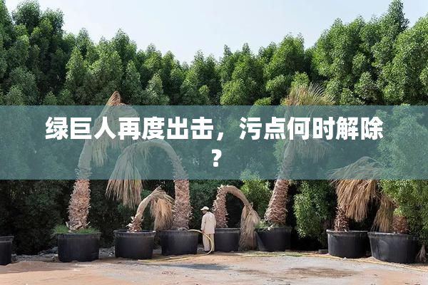 绿巨人再度出击，污点何时解除？