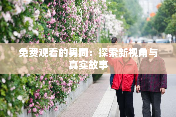 免费观看的男同：探索新视角与真实故事