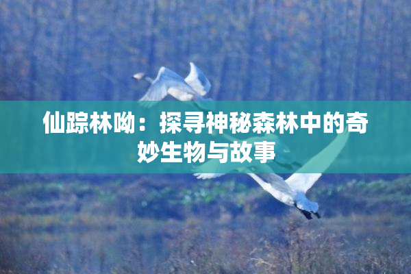 仙踪林呦：探寻神秘森林中的奇妙生物与故事