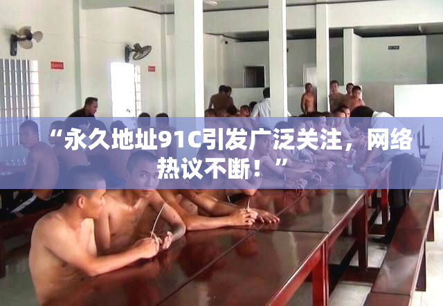 “永久地址91C引发广泛关注，网络热议不断！”