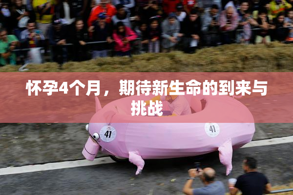 怀孕4个月，期待新生命的到来与挑战