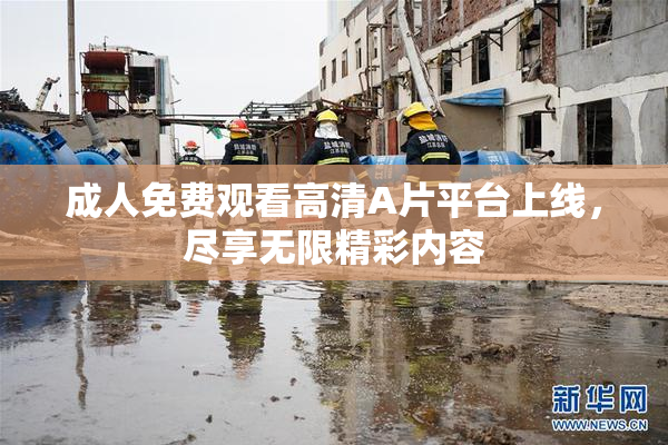 成人免费观看高清A片平台上线，尽享无限精彩内容