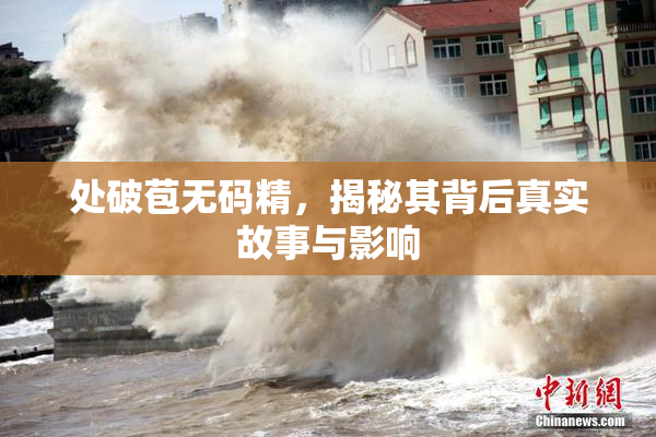 处破苞无码精，揭秘其背后真实故事与影响