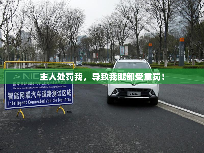 主人处罚我，导致我腿部受重罚！