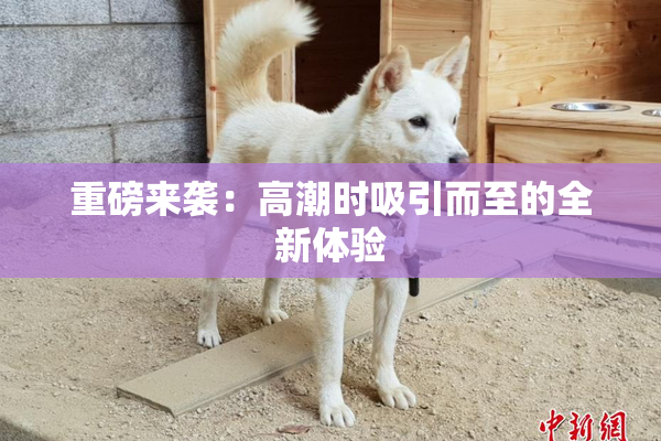 重磅来袭：高潮时吸引而至的全新体验