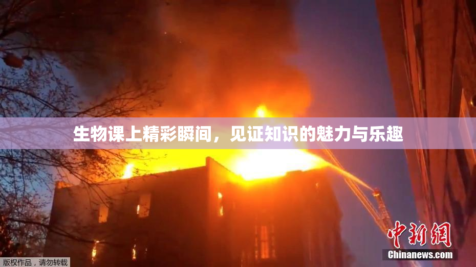 生物课上精彩瞬间，见证知识的魅力与乐趣