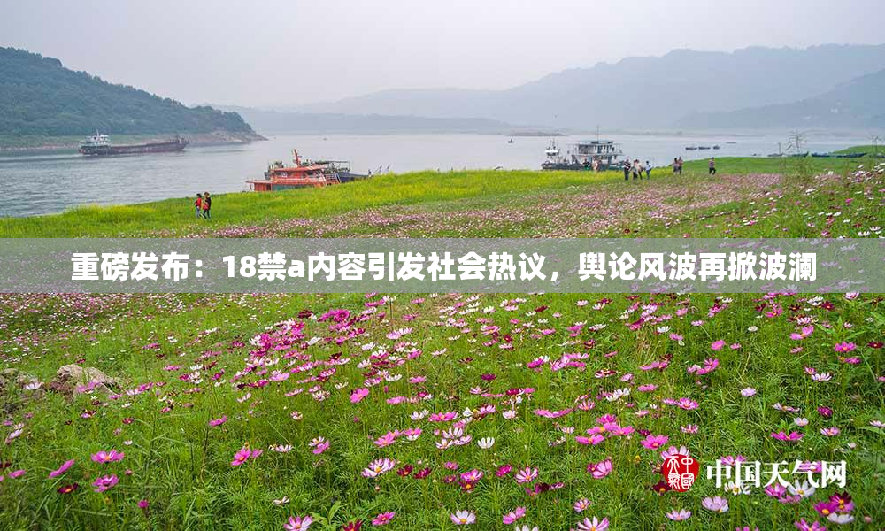 重磅发布：18禁a内容引发社会热议，舆论风波再掀波澜