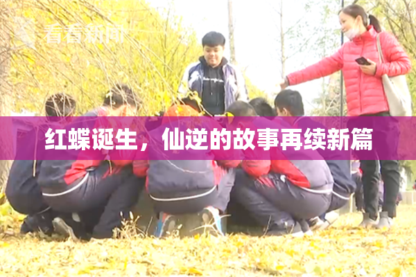 红蝶诞生，仙逆的故事再续新篇