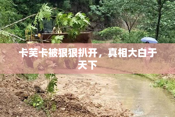 卡芙卡被狠狠扒开，真相大白于天下