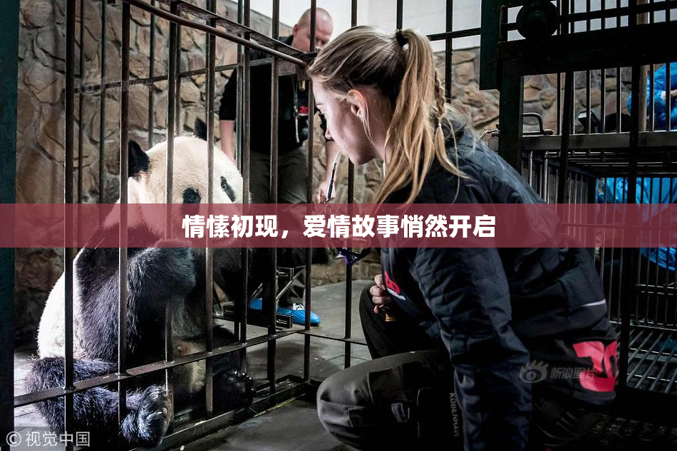 情愫初现，爱情故事悄然开启