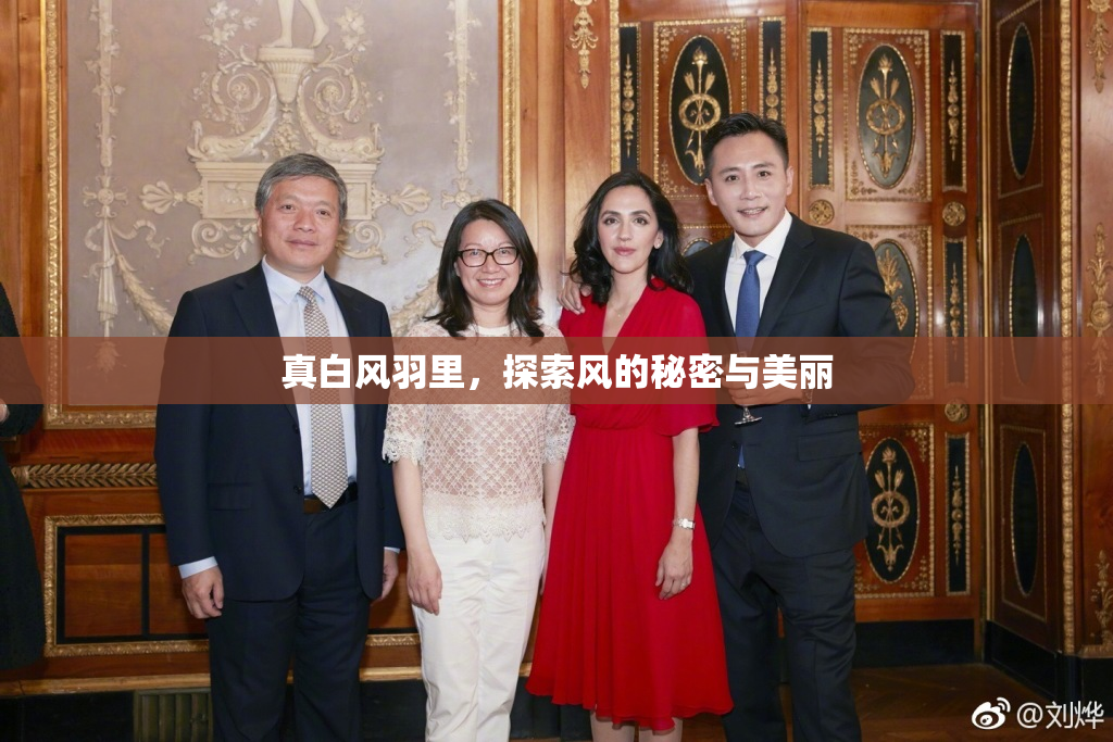 真白风羽里，探索风的秘密与美丽