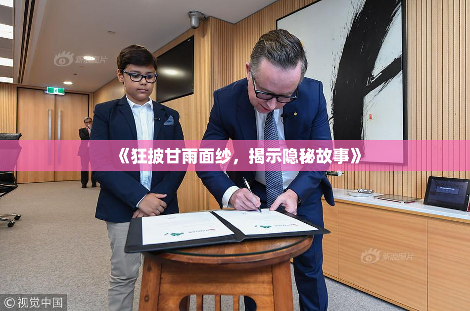 《狂披甘雨面纱，揭示隐秘故事》