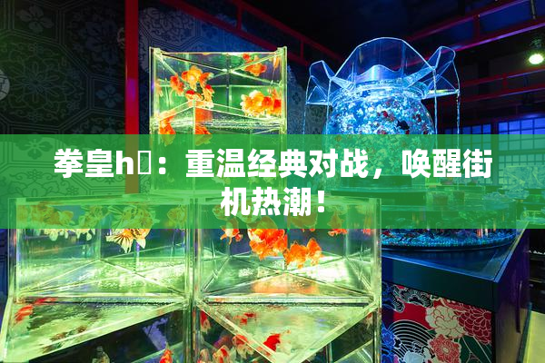 拳皇h婬：重温经典对战，唤醒街机热潮！