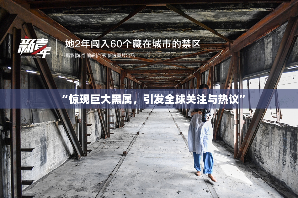 “惊现巨大黑属，引发全球关注与热议”