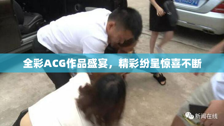 全彩ACG作品盛宴，精彩纷呈惊喜不断