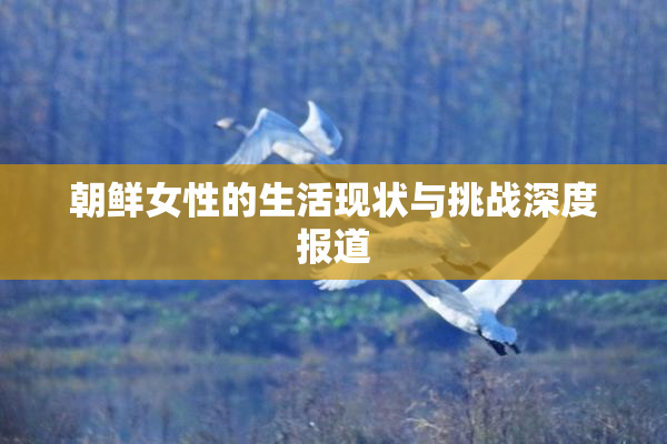 朝鲜女性的生活现状与挑战深度报道
