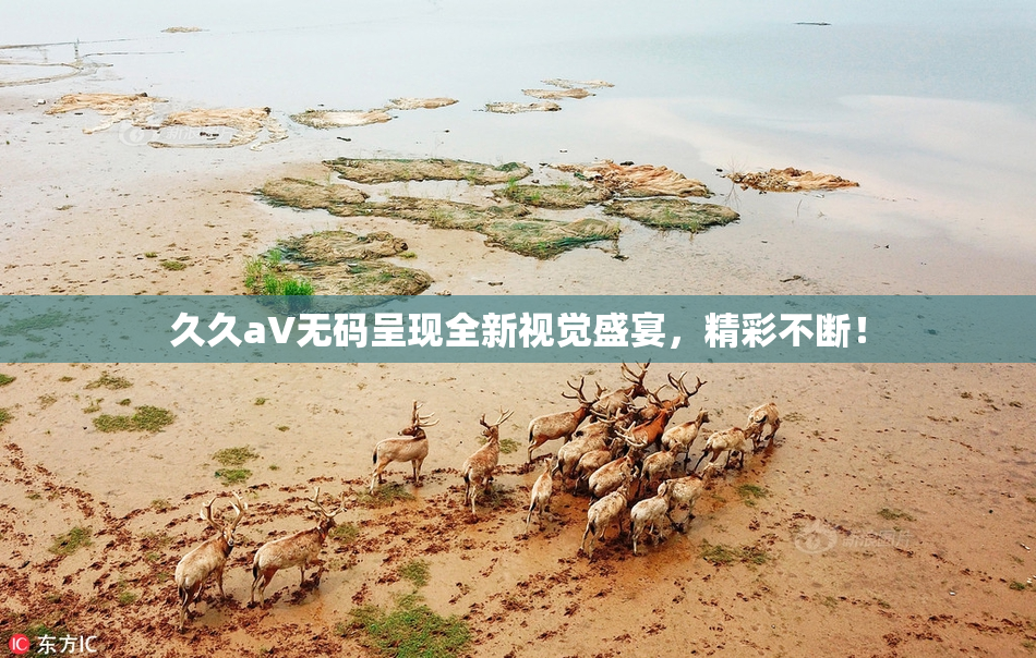 久久aV无码呈现全新视觉盛宴，精彩不断！