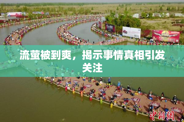 流萤被到爽，揭示事情真相引发关注