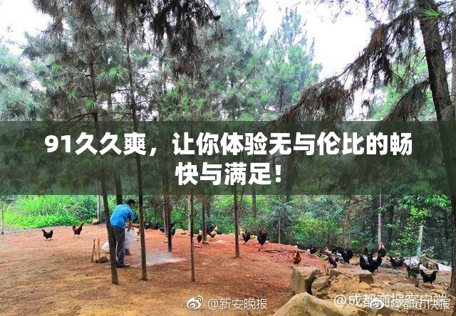 91久久爽，让你体验无与伦比的畅快与满足！