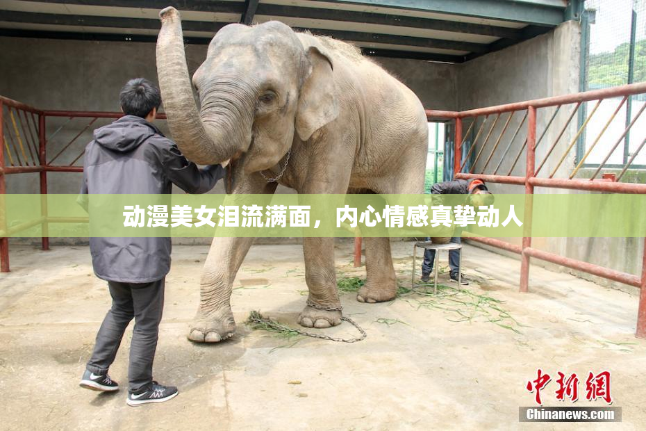 动漫美女泪流满面，内心情感真挚动人