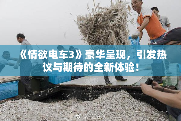 《情欲电车3》豪华呈现，引发热议与期待的全新体验！