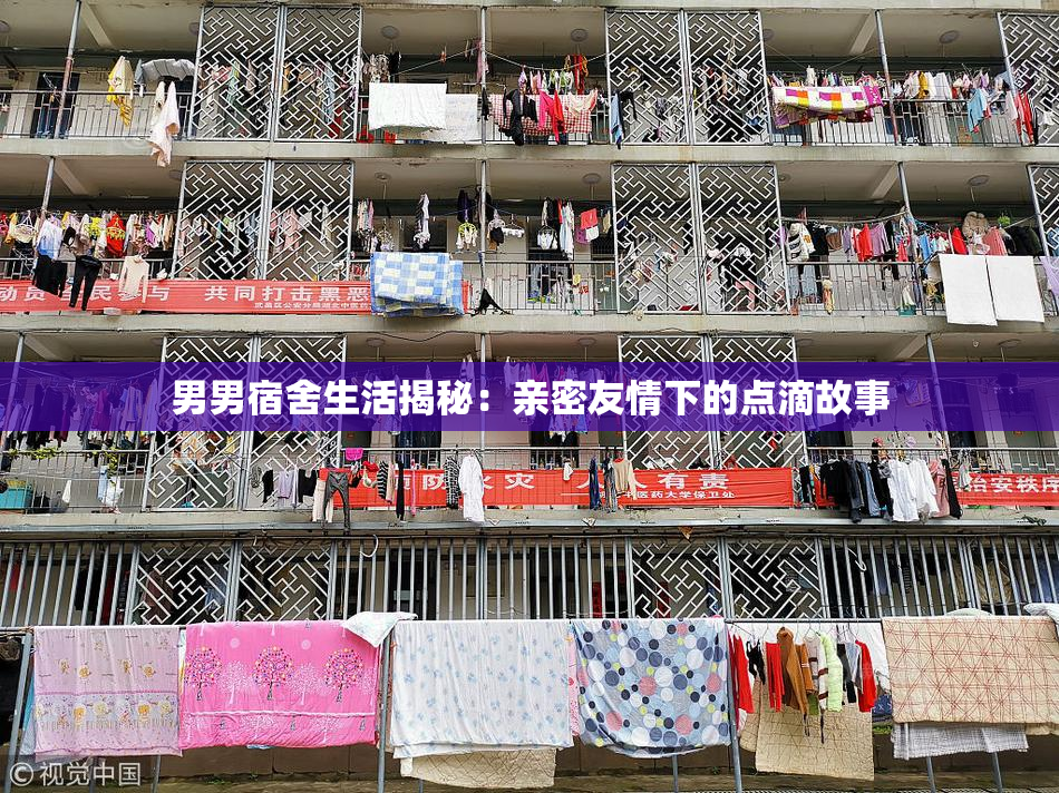 男男宿舍生活揭秘：亲密友情下的点滴故事