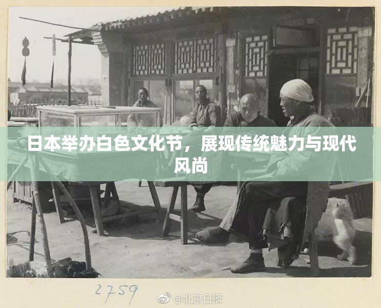 日本举办白色文化节，展现传统魅力与现代风尚
