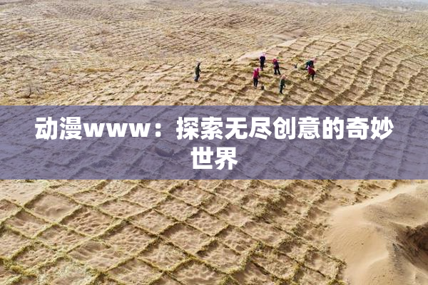 动漫www：探索无尽创意的奇妙世界