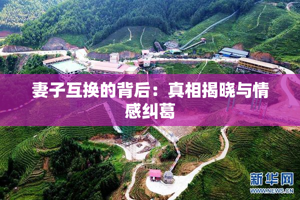 妻子互换的背后：真相揭晓与情感纠葛