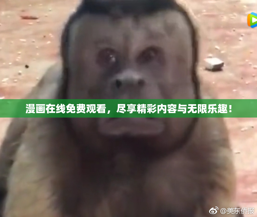 漫画在线免费观看，尽享精彩内容与无限乐趣！