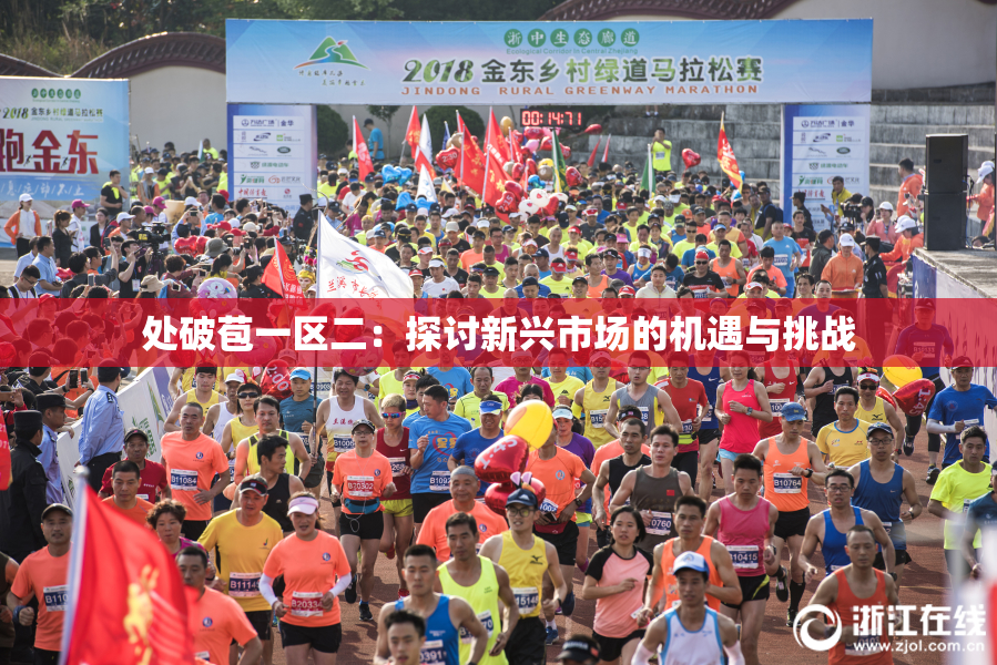 处破苞一区二：探讨新兴市场的机遇与挑战