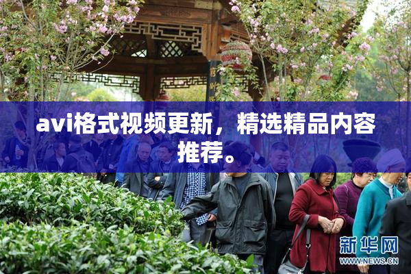 avi格式视频更新，精选精品内容推荐。