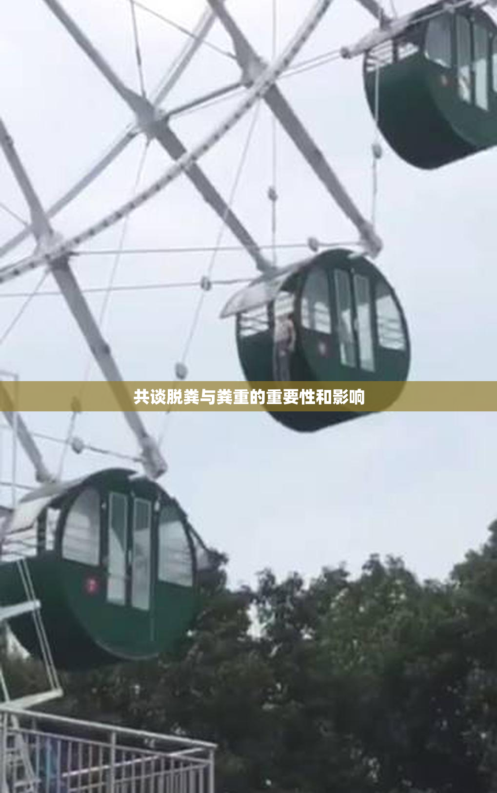 共谈脱粪与粪重的重要性和影响