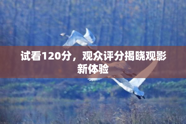 试看120分，观众评分揭晓观影新体验
