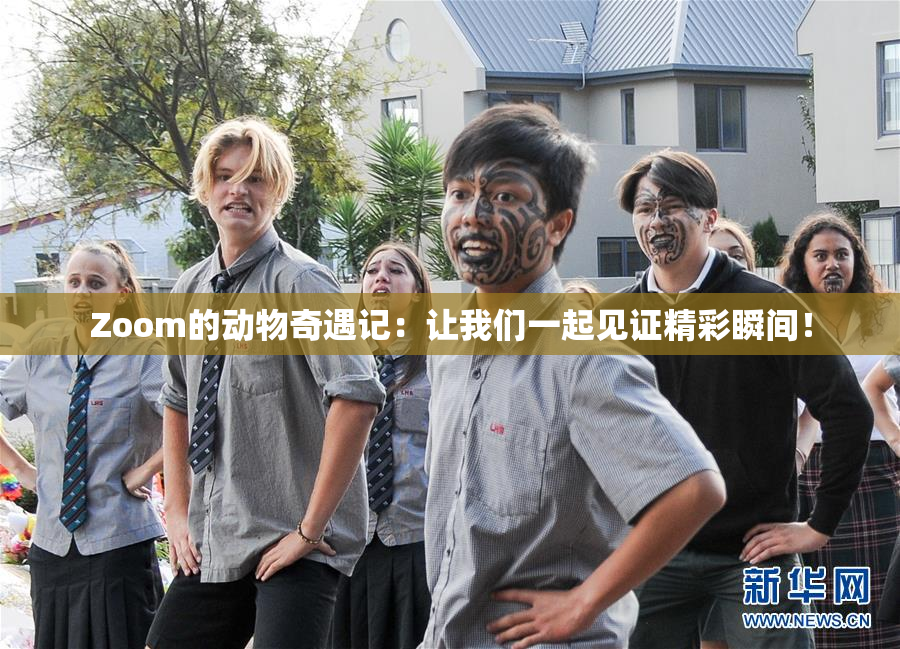 Zoom的动物奇遇记：让我们一起见证精彩瞬间！