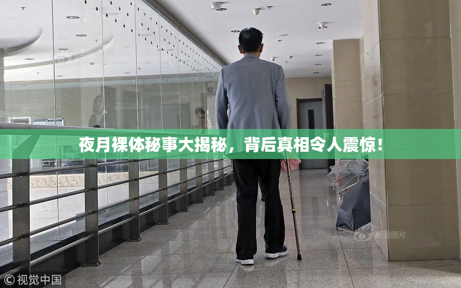 夜月裸体秘事大揭秘，背后真相令人震惊！