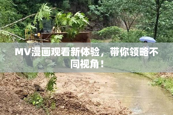 MV漫画观看新体验，带你领略不同视角！