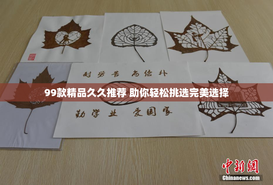 99款精品久久推荐 助你轻松挑选完美选择
