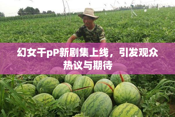 幻女干pP新剧集上线，引发观众热议与期待