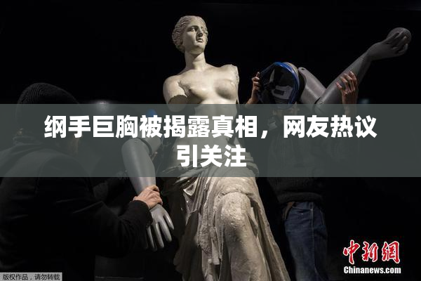 纲手巨胸被揭露真相，网友热议引关注