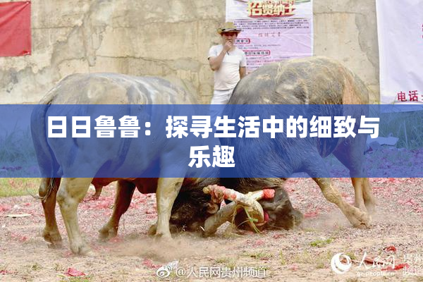日日鲁鲁：探寻生活中的细致与乐趣
