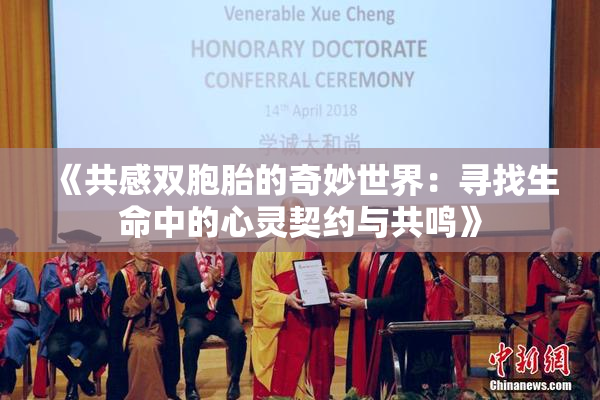《共感双胞胎的奇妙世界：寻找生命中的心灵契约与共鸣》