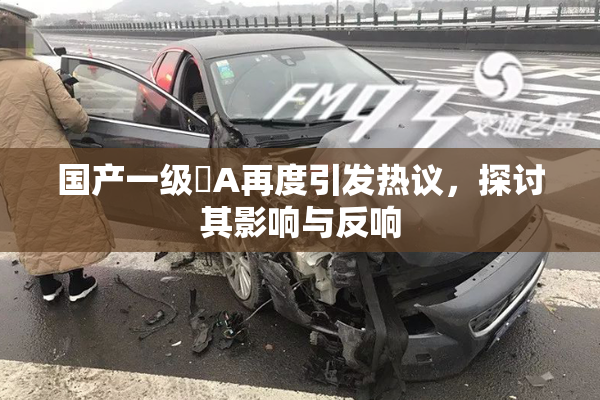 国产一级婬A再度引发热议，探讨其影响与反响