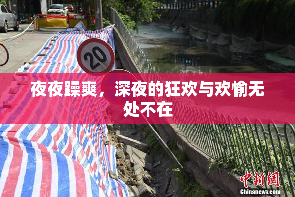 夜夜躁爽，深夜的狂欢与欢愉无处不在