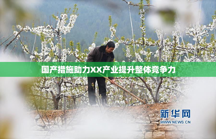 国产措施助力XX产业提升整体竞争力
