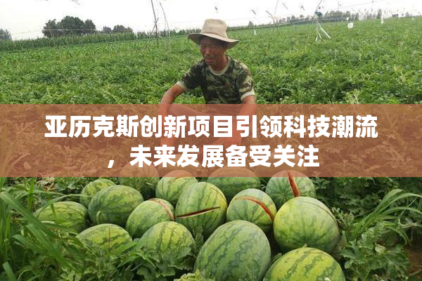 亚历克斯创新项目引领科技潮流，未来发展备受关注
